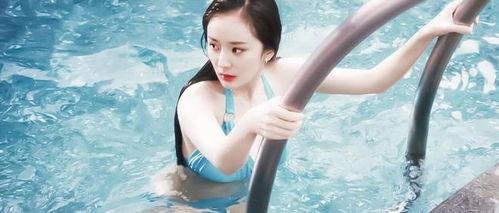 秦岚爆料杨幂了吗视频在线观看  第3张