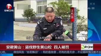 黄山记者爆料新闻视频